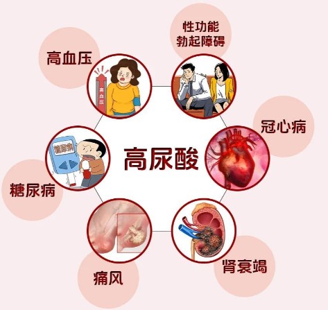 1787307532597440.jpg 屏幕截图 2026-08-21 175807.jpg