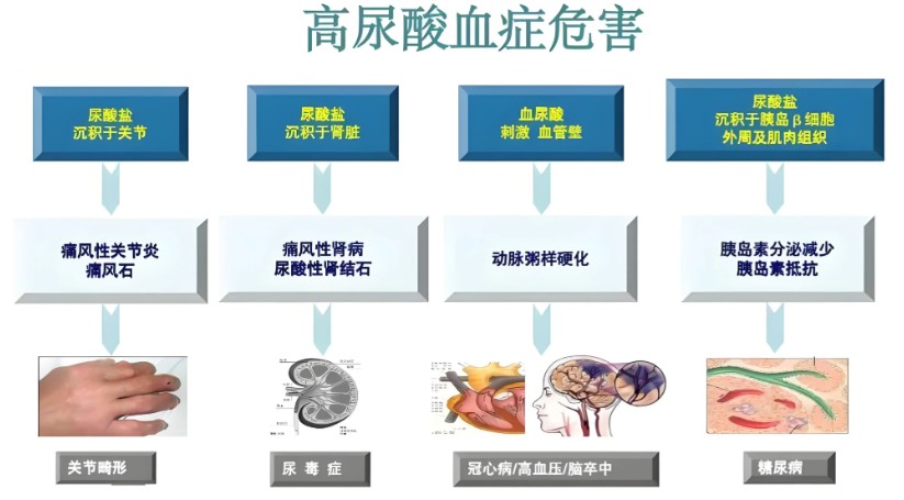 1787307622521085.jpg 屏幕截图 2026-08-21 180041.jpg