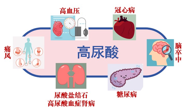 1787307791566386.jpg 屏幕截图 2026-08-21 180758.jpg