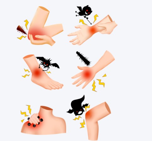 1787552817746521.jpg 屏幕截图 2026-08-24 133153.jpg