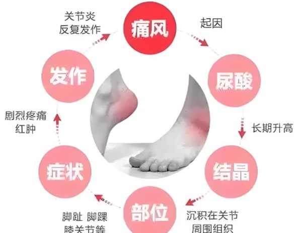 1787553174273085.jpg 屏幕截图 2026-08-24 135814.jpg