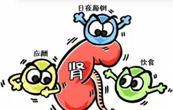 1787553857906195.jpg 屏幕截图 2026-08-24 141607.jpg