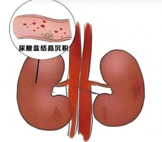 1787553871331557.jpg 屏幕截图 2026-08-24 141627.jpg