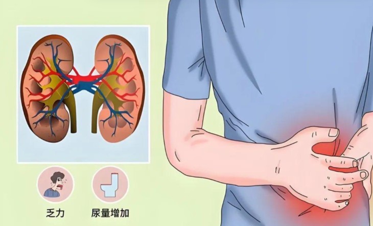 1787553924294552.jpg 屏幕截图 2026-08-24 141806.jpg