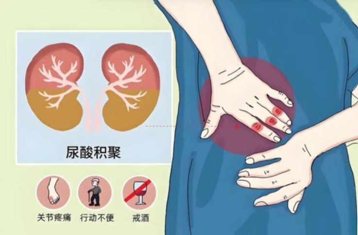 1787553930387237.jpg 屏幕截图 2026-08-24 141826.jpg