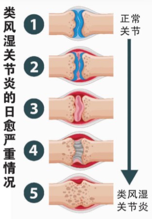 1787561597471398.jpg 屏幕截图 2026-08-24 163448.jpg