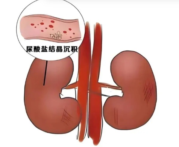 1787566775729535.jpg 屏幕截图 2026-08-24 170952.jpg