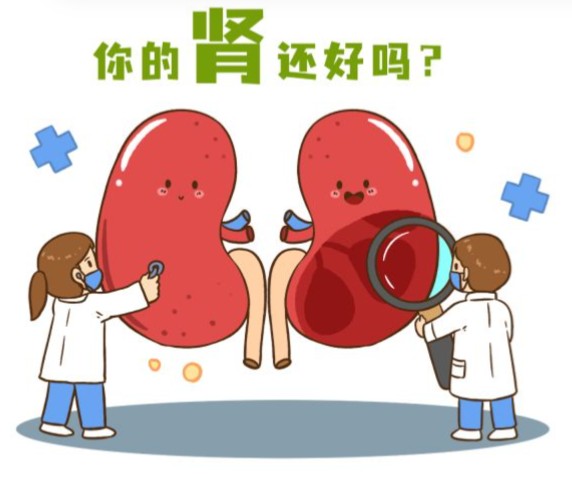1787624752614834.jpg 屏幕截图 2026-08-24 171144.jpg