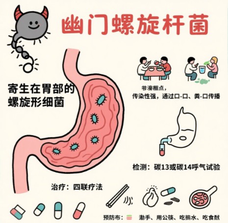 1787799274862167.jpg 屏幕截图 2026-08-27 100957.jpg