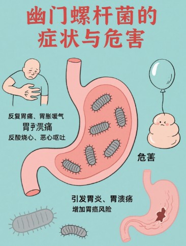 1787800213706059.jpg 屏幕截图 2026-08-27 101400.jpg