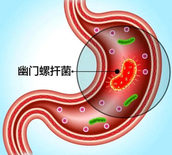 1787801090986026.jpg 屏幕截图 2026-08-27 101721.jpg
