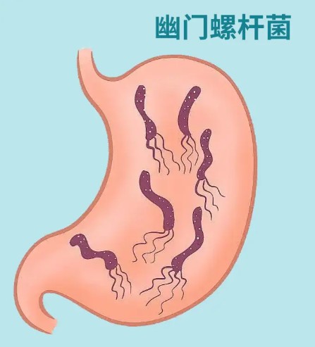 屏幕截图 2026-08-27 103253.jpg