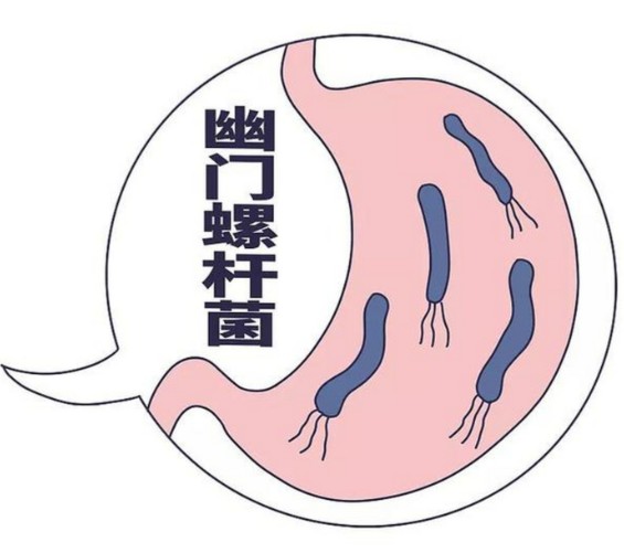 1787802453768344.jpg 屏幕截图 2026-08-27 103530.jpg