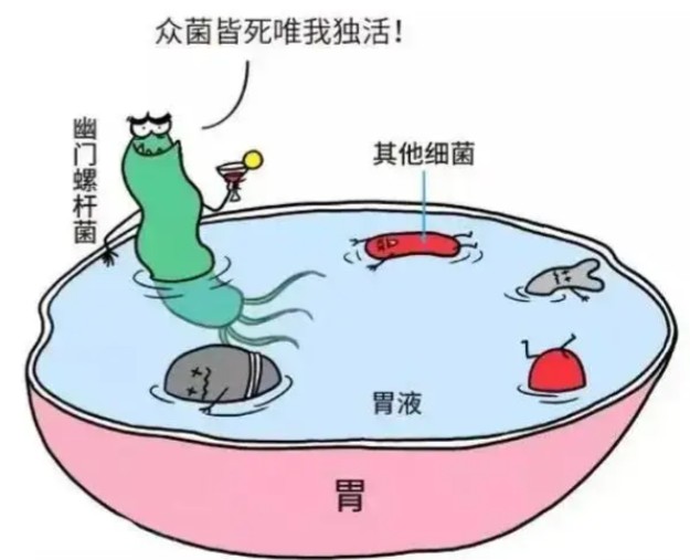 1787802961809670.jpg 屏幕截图 2026-08-27 103735.jpg