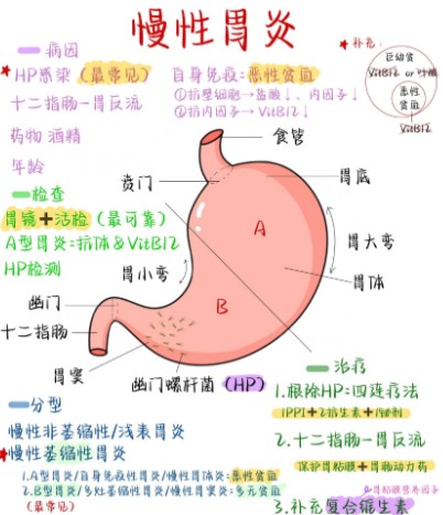 屏幕截图 2026-08-27 132250.jpg