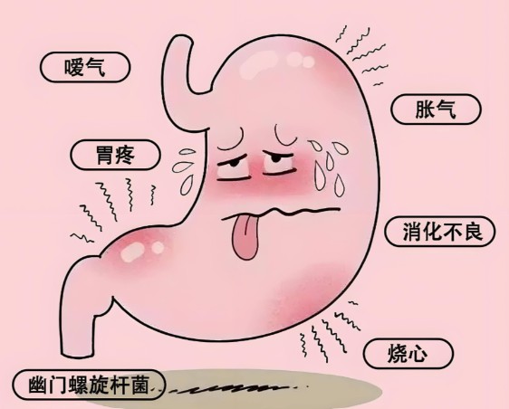 1787811848595639.jpg 屏幕截图 2026-08-27 133418.jpg