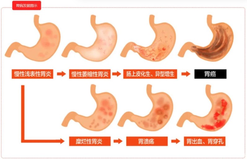 1787816773874502.jpg 屏幕截图 2026-08-27 151236.jpg