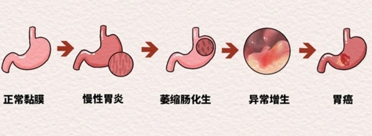 1787818628899607.jpg 屏幕截图 2026-08-27 151758.jpg