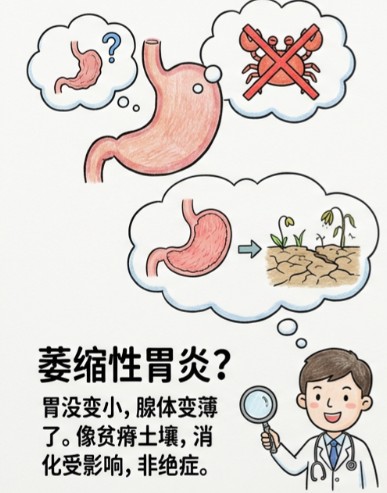 屏幕截图 2026-08-27 152122.jpg