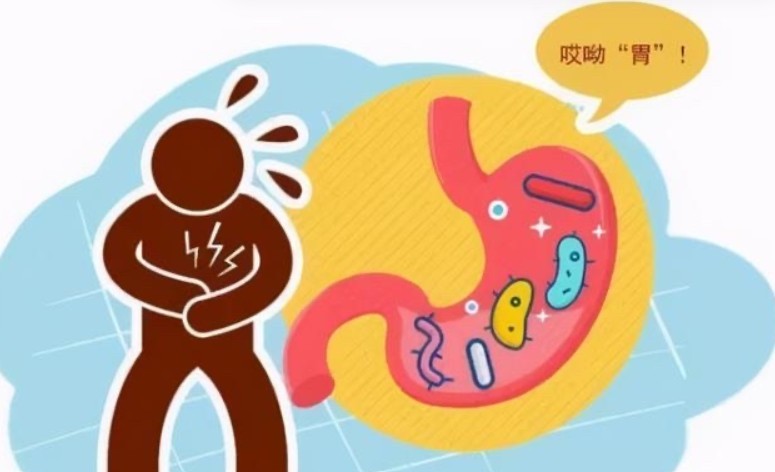 1787821699231519.jpg 屏幕截图 2026-08-27 152937.jpg