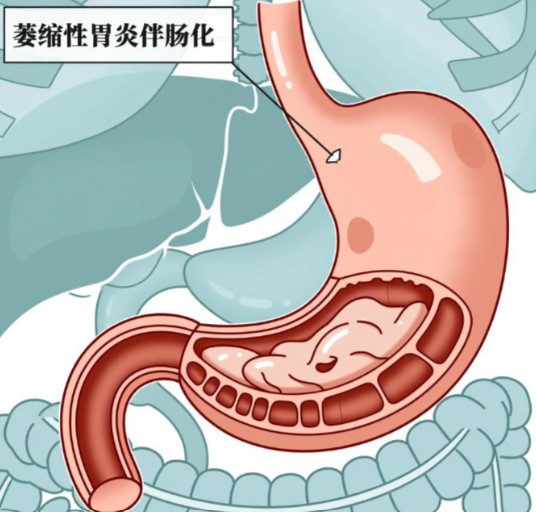 1787821725167677.jpg 屏幕截图 2026-08-27 151438.jpg
