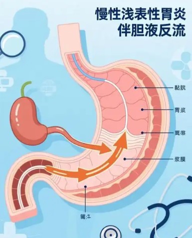 1788144324739633.jpg 屏幕截图 2026-08-31 102346.jpg