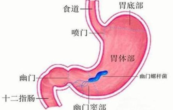 1788145107681744.jpg 屏幕截图 2026-08-31 103204.jpg