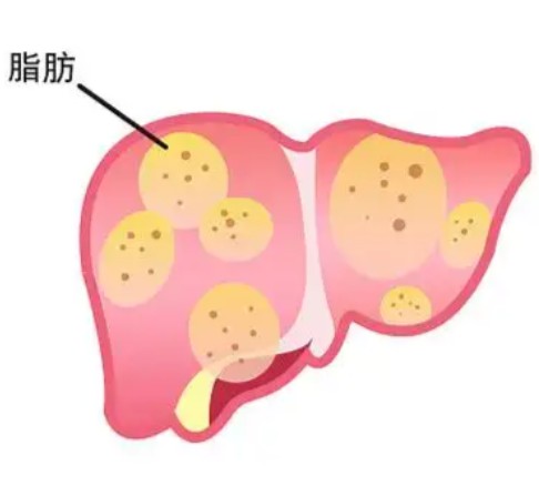 1788153885653263.jpg 屏幕截图 2026-08-31 114520.jpg