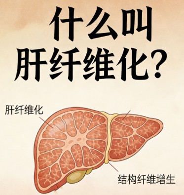 1788167979885525.jpg 屏幕截图 2026-08-31 154918.jpg