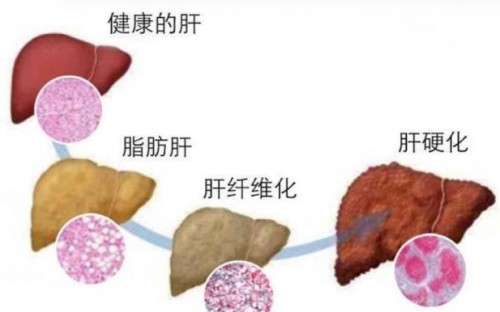 1788168924464766.jpg 屏幕截图 2026-08-31 161701.jpg