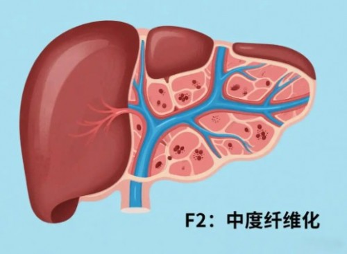 1788169261342922.jpg 屏幕截图 2026-08-31 161817.jpg