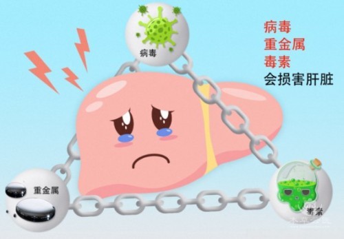1788228871835768.jpg 屏幕截图 2026-08-31 165738.jpg