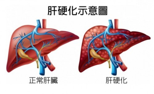1788239643361421.jpg 屏幕截图 2026-09-01 111159.jpg