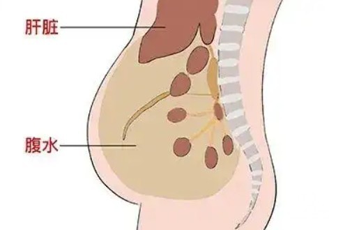 屏幕截图 2026-09-01 135329.jpg