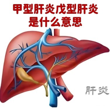 1788250526808930.jpg 屏幕截图 2026-09-01 152035.jpg