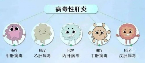 1788320007599861.jpg 屏幕截图 2026-09-02 101808.jpg