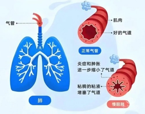 1788334530472897.jpg 屏幕截图 2026-09-02 150804.jpg