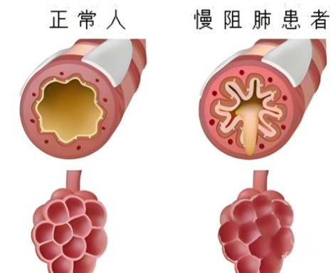 1788335576437512.jpg 屏幕截图 2026-09-02 151530.jpg