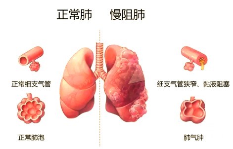 1788336745527954.jpg 屏幕截图 2026-09-02 151555.jpg
