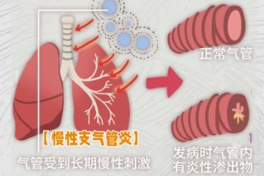 1788402163413369.jpg 屏幕截图 2026-09-02 172523.jpg