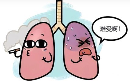 1788407281711224.jpg 屏幕截图 2026-09-03 111911.jpg