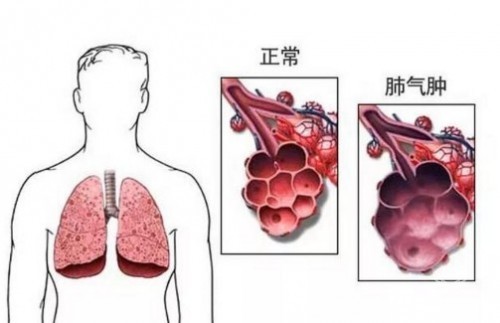 1788407734847840.jpg 屏幕截图 2026-09-03 112104.jpg
