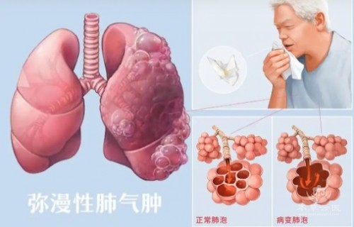 1788412492171642.jpg 屏幕截图 2026-09-03 113000.jpg
