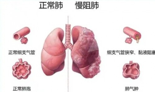 1788412500772234.jpg 屏幕截图 2026-09-03 113150.jpg
