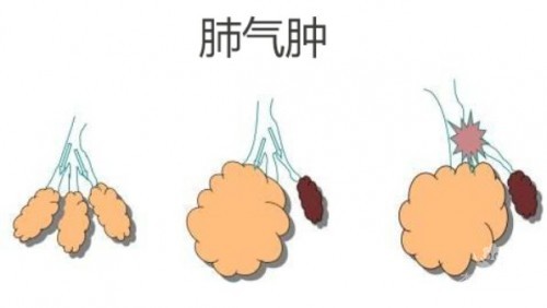1788413542241907.jpg 屏幕截图 2026-09-03 114303.jpg