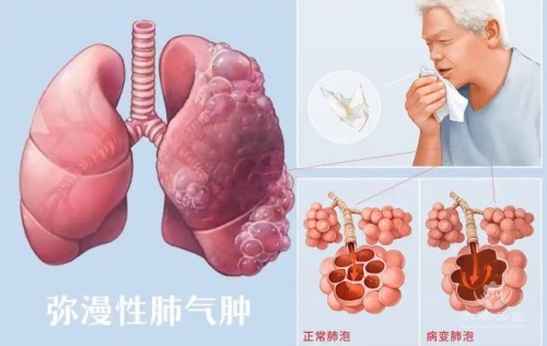 1788417655923291.jpg 屏幕截图 2026-09-03 135426.jpg