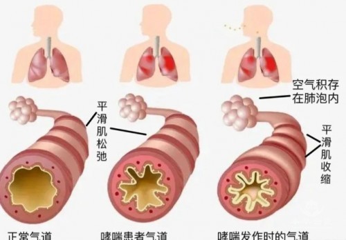 1788426175210181.jpg 屏幕截图 2026-09-03 160348.jpg