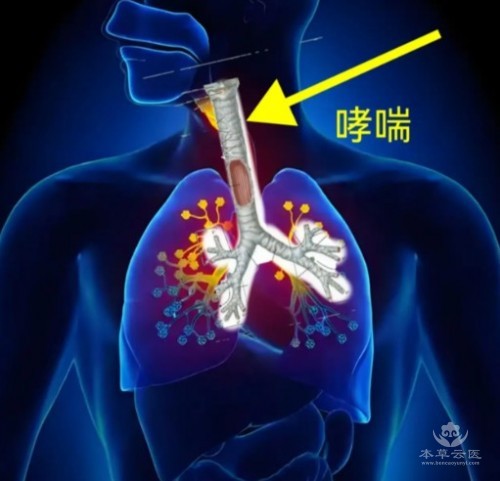 屏幕截图 2026-09-03 160526.jpg