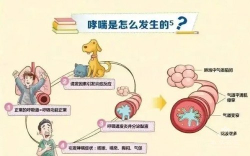 1788498969285503.jpg 屏幕截图 2026-09-04 110140.jpg