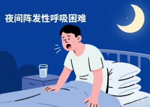 1788502156670712.jpg 屏幕截图 2026-09-04 133255.jpg